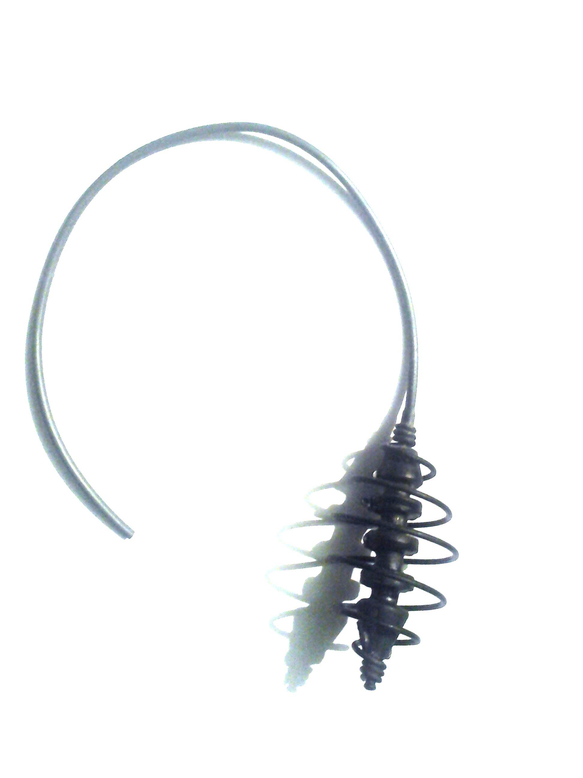 Plumbi si momitoare - dsc00054.JPG